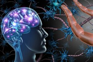 Tế bào gốc thần kinh – chìa khóa phục hồi nơ-ron tổn thương