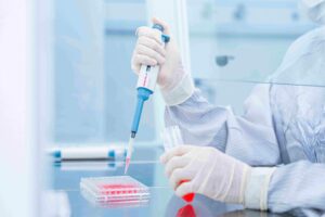 Nuôi cấy tế bào gốc trong phòng lab