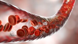 Hình minh họa tế bào gốc máu dây rốn đang lưu thông trong cơ thể