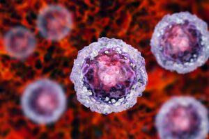 Tế bào gốc máu dây rốn – nguồn tài nguyên quý cho y học tái tạo