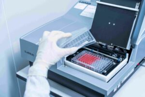 Tế bào gốc được nuôi cấy trong điều kiện vô trùng và kiểm soát nghiêm ngặt