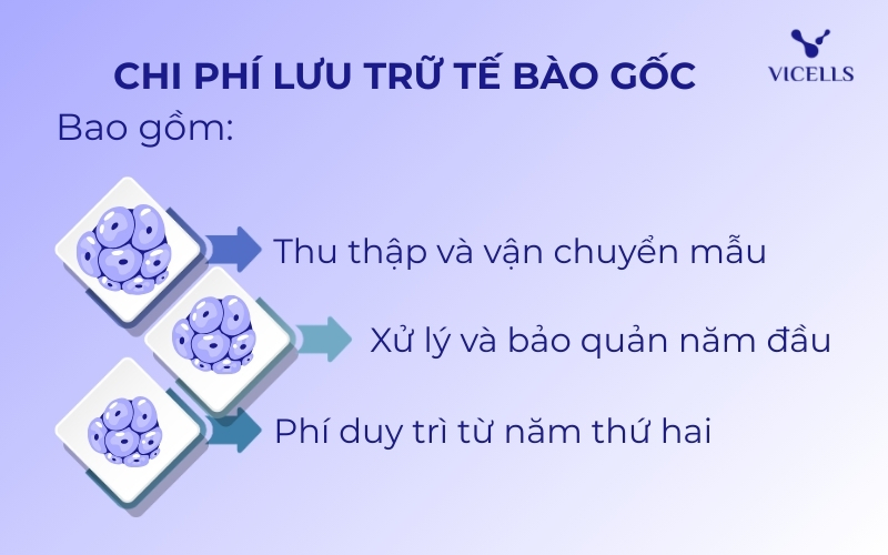 Những khoản phí bao gồm trong chi phí lưu trữ tế bào gốc