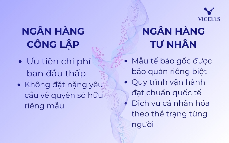 Việc chọn ngân hàng tế bào máu công hay tư phụ thuộc vào nhu cầu ưu tiên riêng cảu từng gia đình