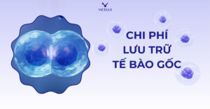 Chi phí lưu trữ tế bào gốc